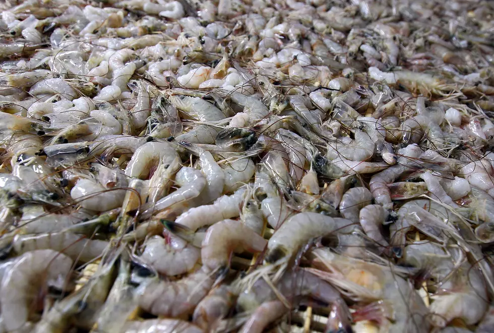 FDA Warning: Louisiana Walmart Shrimp Contains Radioactive Risk